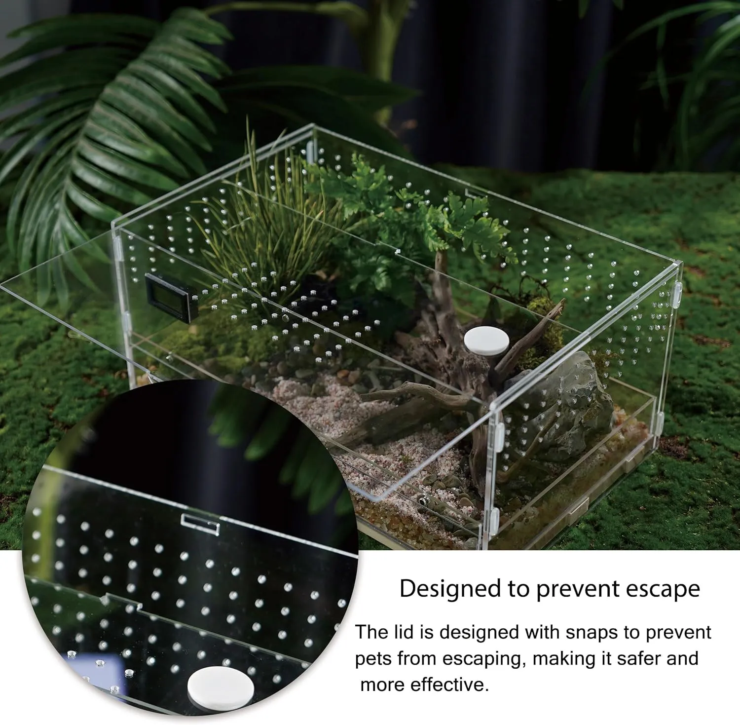 Acrylic Clear Reptile Habitat Enclosure Terrarium with Latch Perfect for Amphibians and Invertebrates Such as Spiders, Frogs, Horizontal or Vertical Style(Vertical Wood Large)