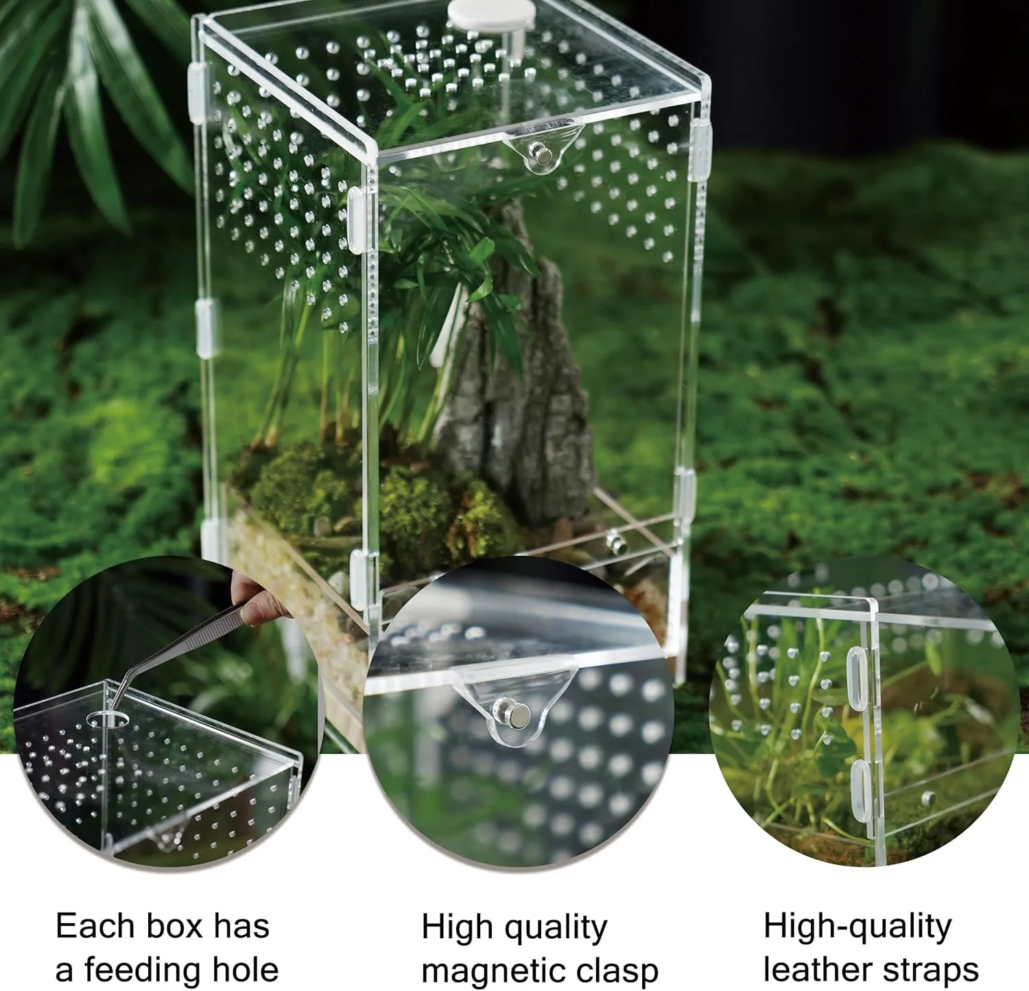 Acrylic Clear Reptile Habitat Enclosure Terrarium with Latch Perfect for Amphibians and Invertebrates Such as Spiders, Frogs, Horizontal or Vertical Style(Vertical Wood Large)