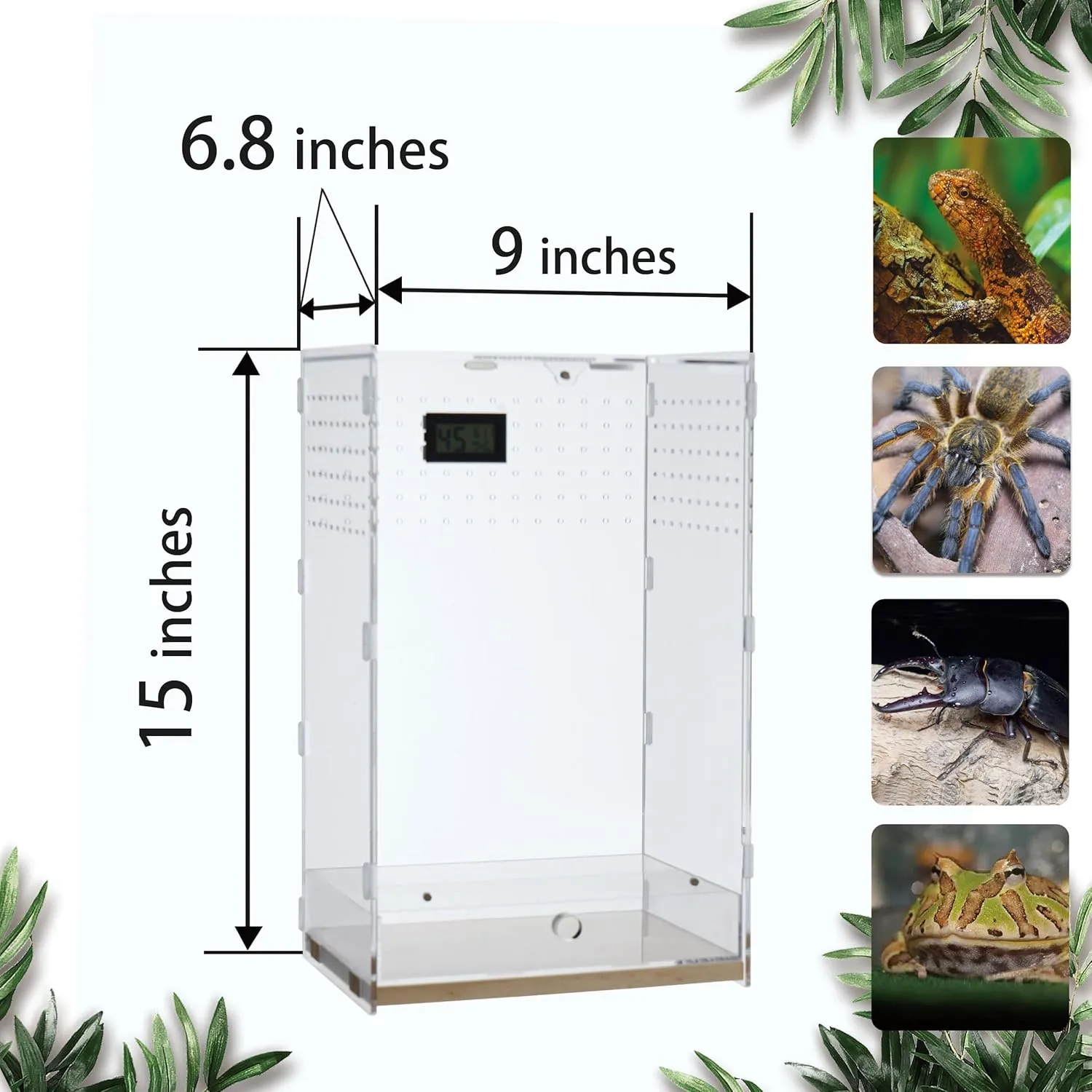 Acrylic Clear Reptile Habitat Enclosure Terrarium with Latch Perfect for Amphibians and Invertebrates Such as Spiders, Frogs, Horizontal or Vertical Style(Vertical Wood Large)
