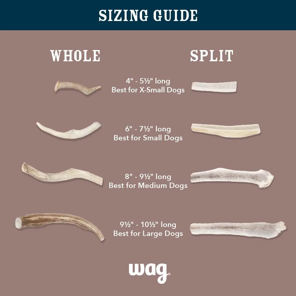 Amazon Brand - Wag Deer Antler Chew for Dogs, Naturally Shed, Whole, Medium 6 - 7.5 inches, Long Lasting for Aggressive Chewers, Best for Dogs 15-30 lbs, 1.80 Ounce (Pack of 1)