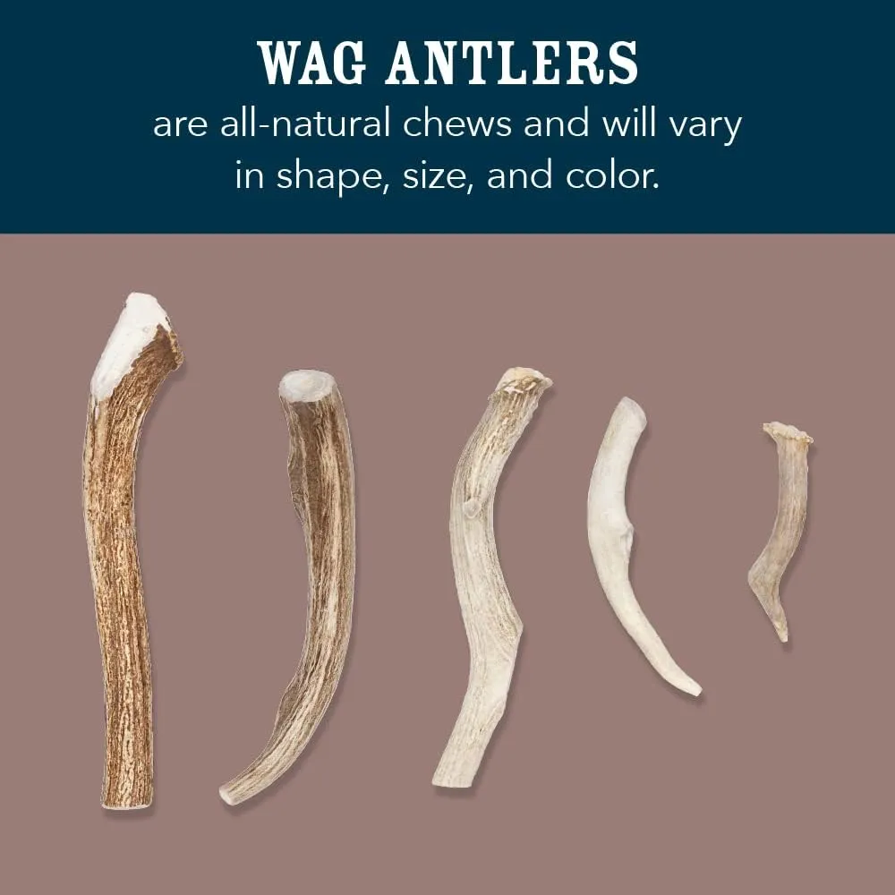 Amazon Brand - Wag Deer Antler Chew for Dogs, Naturally Shed, Whole, Medium 6 - 7.5 inches, Long Lasting for Aggressive Chewers, Best for Dogs 15-30 lbs, 1.80 Ounce (Pack of 1)
