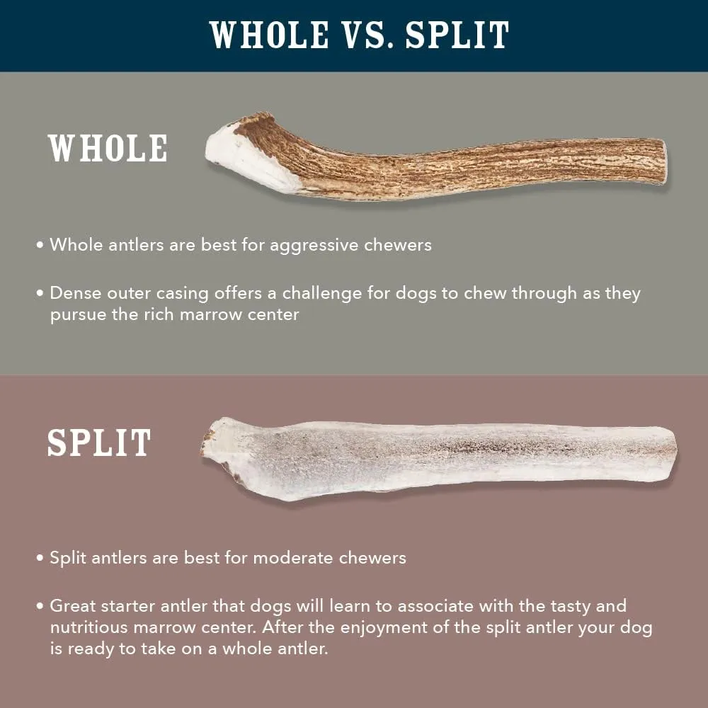 Amazon Brand - Wag Deer Antler Chew for Dogs, Naturally Shed, Whole, Medium 6 - 7.5 inches, Long Lasting for Aggressive Chewers, Best for Dogs 15-30 lbs, 1.80 Ounce (Pack of 1)