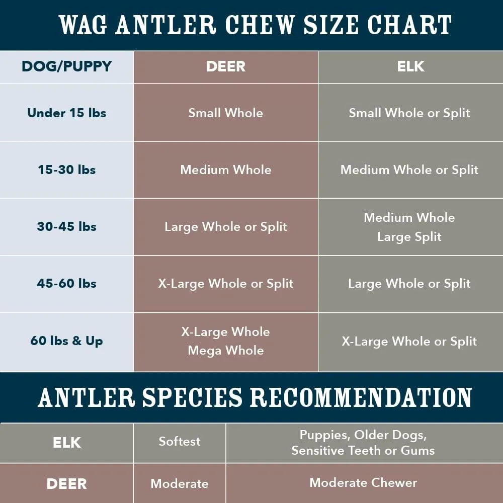 Amazon Brand - Wag Deer Antler Chew for Dogs, Naturally Shed, Whole, Medium 6 - 7.5 inches, Long Lasting for Aggressive Chewers, Best for Dogs 15-30 lbs, 1.80 Ounce (Pack of 1)