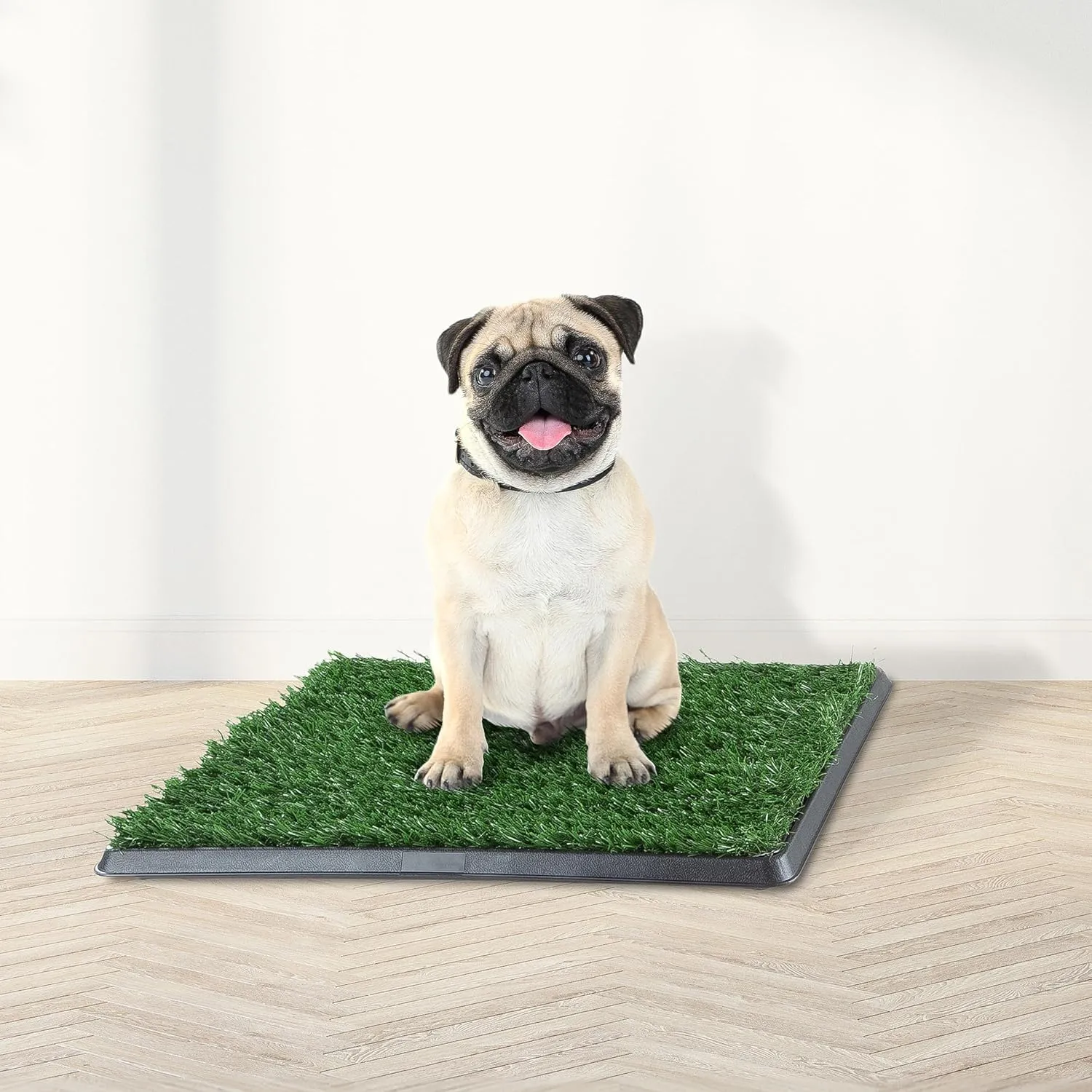 Artificial Grass Puppy Pee Pad for Dogs and Small Pets - 16x20 Reusable 4-Layer Training Potty Pad with Tray - Dog Housebreaking Supplies by PETMAKER