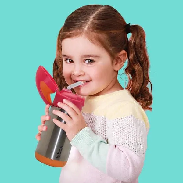 B.Box Insulated Drink Bottle Replacement Straw Top- 2 Pack