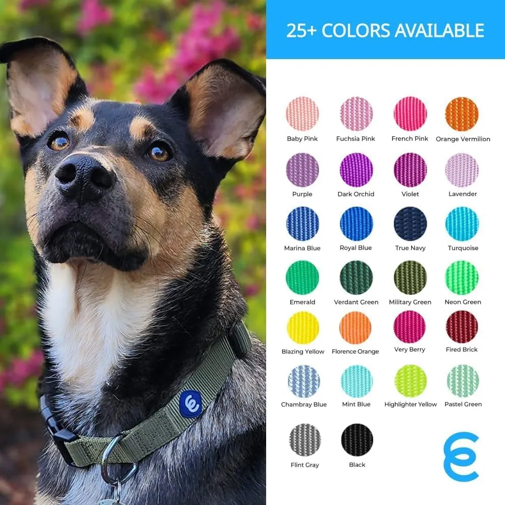 Blueberry Pet Essentials Small Dog Collar | Girl Dog Collars Fall | Female Dog Collar Small | Fired Brick Dog Collars for Small Dogs | Quick Release Dog Collar | Fired Brick Nylon Dog Collar