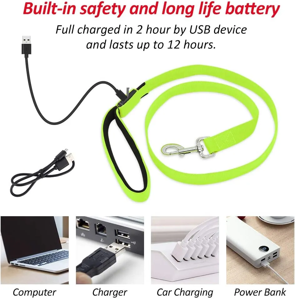 BSEEN Light Up Dog Leash - Nylon LED Dog Leash Rechargeable, Glowing Dog Lead with Padded Handle, Safety Dog Lights for Night Walking (4ft, Neon Green)