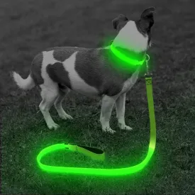 BSEEN Light Up Dog Leash - Nylon LED Dog Leash Rechargeable, Glowing Dog Lead with Padded Handle, Safety Dog Lights for Night Walking (4ft, Neon Green)