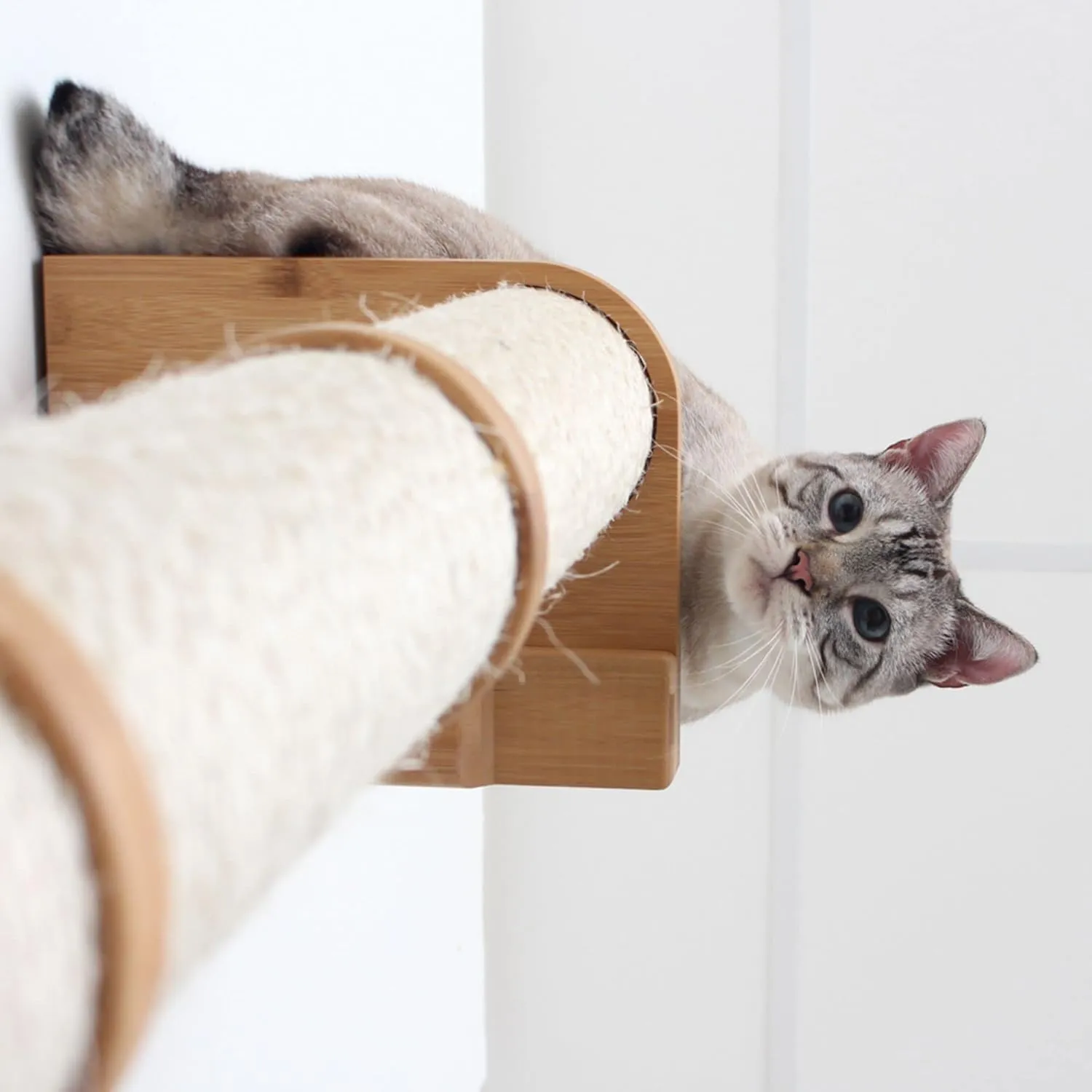 Catastrophic Creations Cat Scratching Post  4-Tier Cat Wall Scratcher  Durable Bamboo & Sisal Cat Scratcher Post  Hand-Crafted Cat Scratching Posts for Indoor Cats  Modern Cat Furniture-