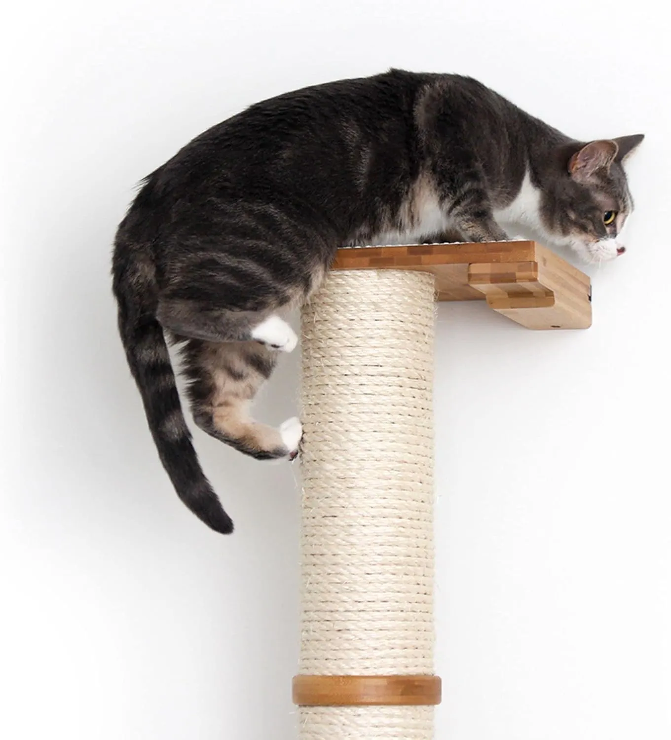 Catastrophic Creations Cat Scratching Post  4-Tier Cat Wall Scratcher  Durable Bamboo & Sisal Cat Scratcher Post  Hand-Crafted Cat Scratching Posts for Indoor Cats  Modern Cat Furniture-