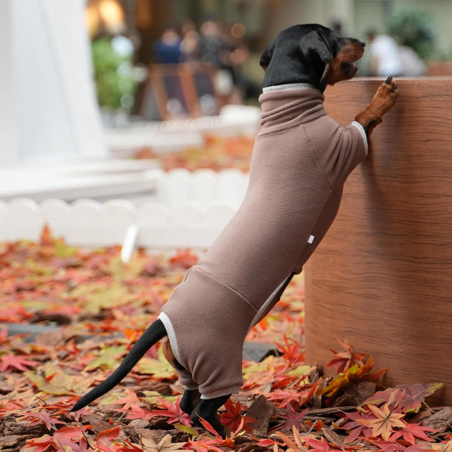 Dachshund Dog Turtleneck Warm Sweater, Winter Clothes, Suitable for Dachshunds (Brown, X-Small)