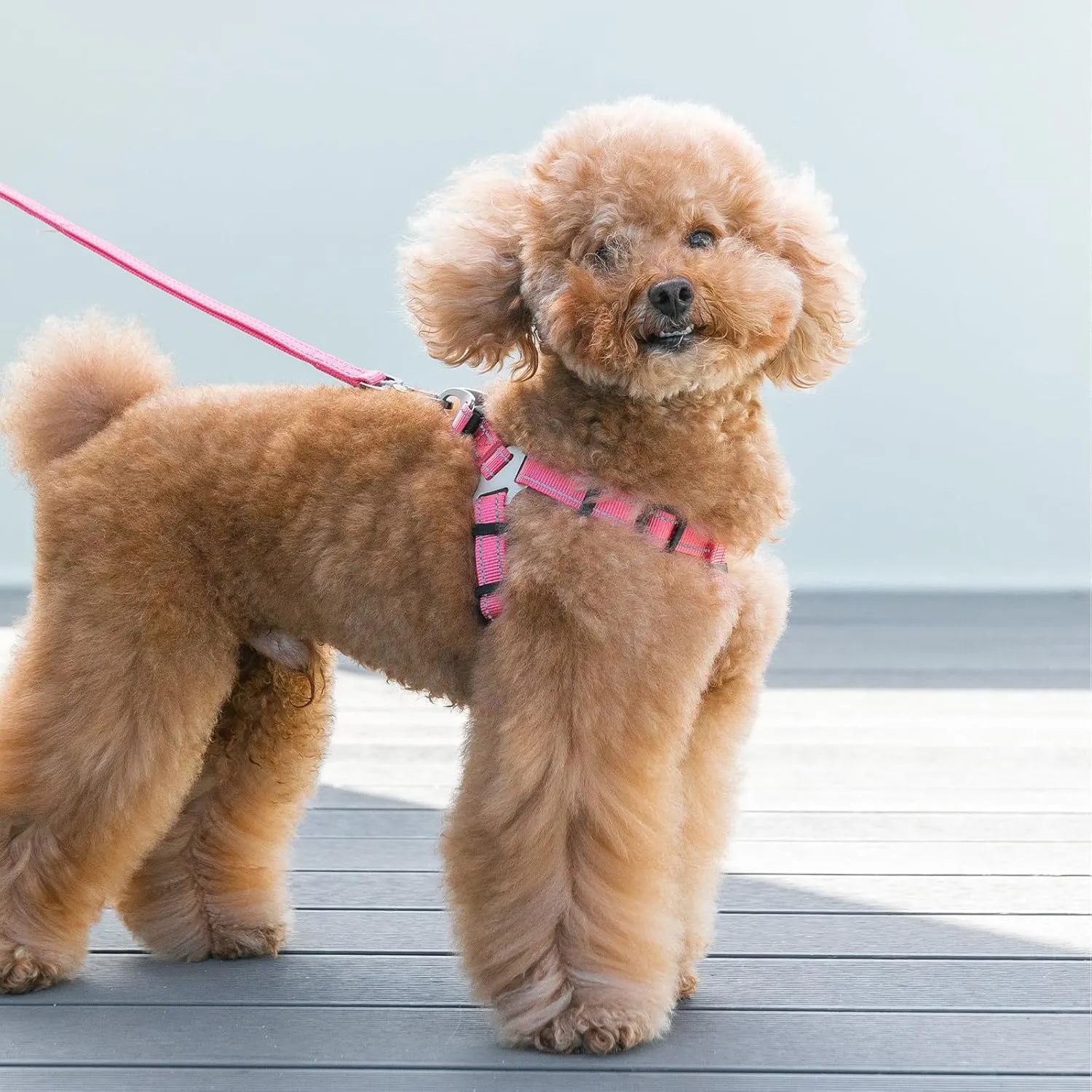 EXCELLENT ELITE SPANKER No Pull Dog Harness Adjustable Nylon Step-in Easy Pet Vest Chest Strap with Reflective and Leash Ring for Small Medium Large Breed Dogs Training Walking(Black-L)