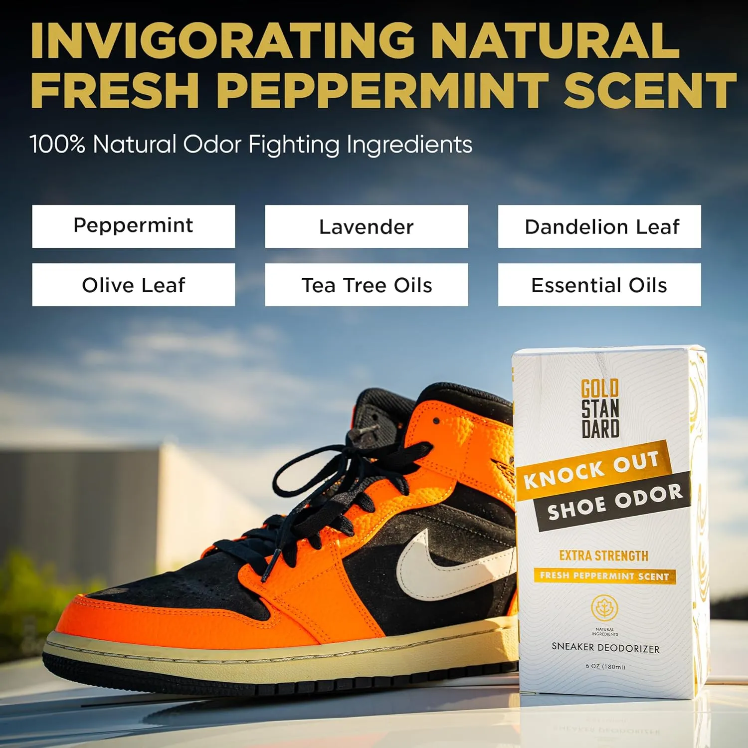 Gold Standard Shoe Deodorizer Spray, 6 oz  Shoe Spray and Smell Remover, Long-Lasting Shoe Odor Eliminator, Natural Shoe Freshener Spray with Peppermint