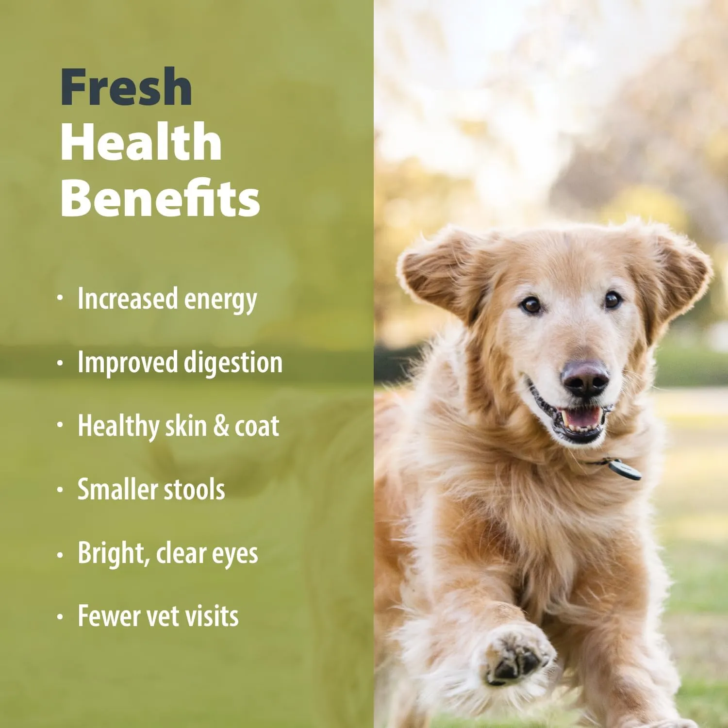 JustFoodForDogs Puppy Frozen Fresh Dog Food Variety Pack, Complete Meal or Dog Food Topper, Fish & Chicken Human Grade Dog Food Recipes, 18oz (Pack of 7)