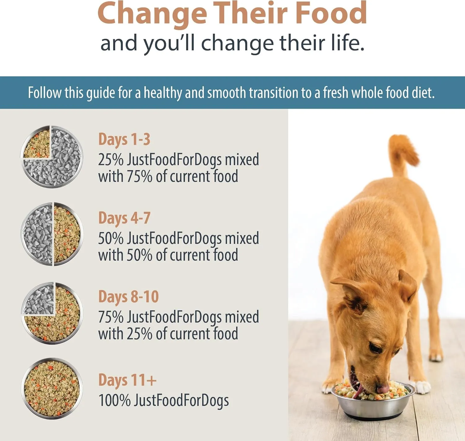 JustFoodForDogs Puppy Frozen Fresh Dog Food Variety Pack, Complete Meal or Dog Food Topper, Fish & Chicken Human Grade Dog Food Recipes, 18oz (Pack of 7)