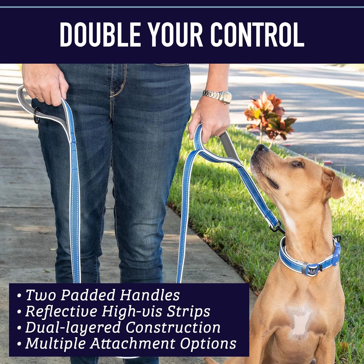 Leash Boss Double Handle Dog Leash, Pattern Collection, 6Ft Reflective Dog Leash with Two Padded Handles for Large Dogs or Medium Dogs That Pull (Beige/Red - Mountain)
