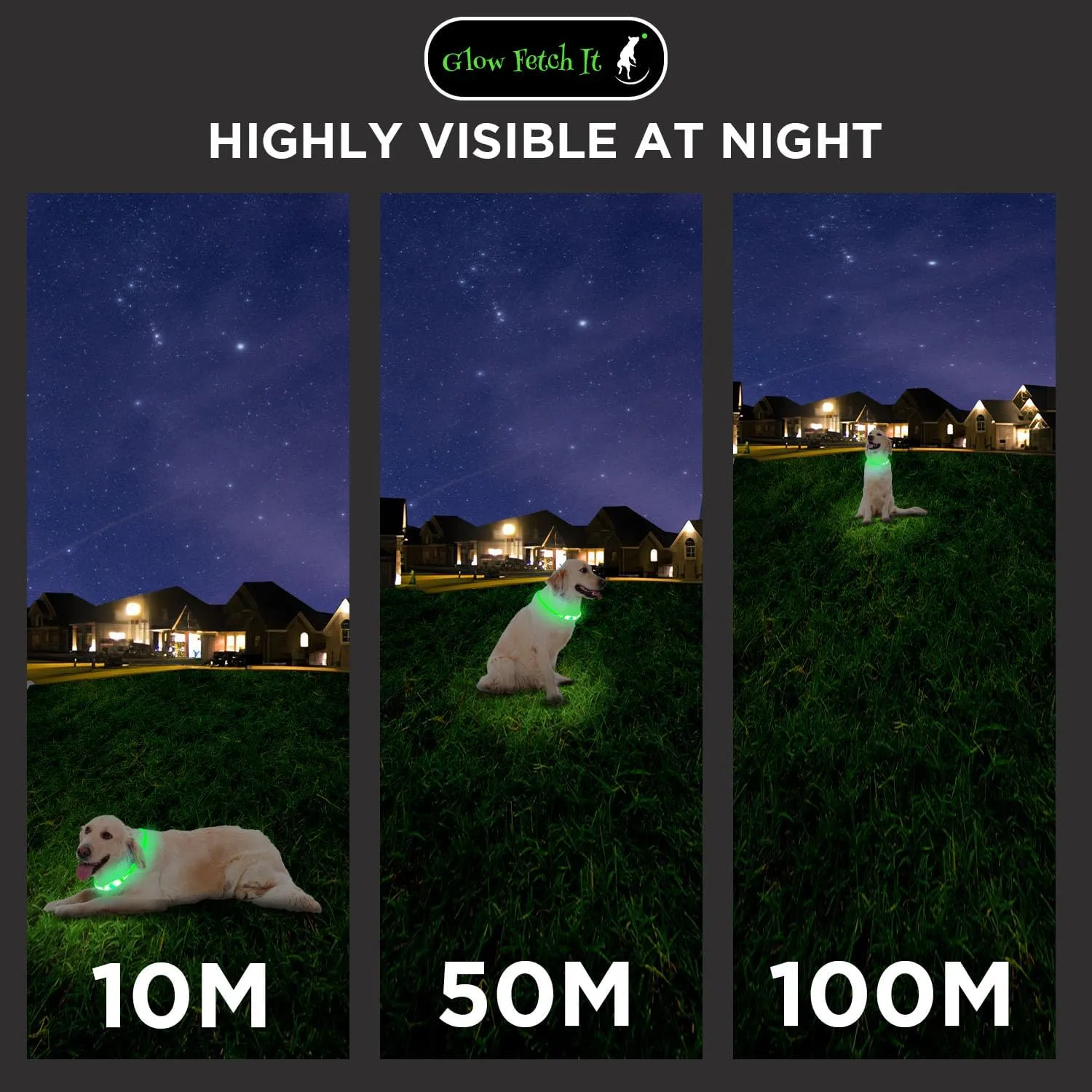 LED Dog Collar, Waterproof Light Up Dog Collar Rechargeable, Dog Safety Necklace for Night Walking, Adjustable Cut-to-Fit Silicone Collar Small Medium Large Dog 27.5 Cuttable (Green)
