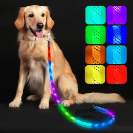 Light Up Dog Leash, LED Pet Leash for Night Walking,13 Lighting Modes, Rechargeable Dog Lights, Glow in The Dark Walking Leashes with Tangle-Free Hook for Small Medium Large Dogs (Leash-5Ft)