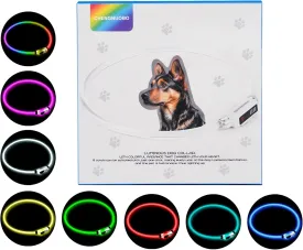 Multi-Color LED Dog Collar Rechargeable - Adjustable Glowing Collar for Most Dogs, Waterproof Reflective & Long-Lasting 200mAh Battery by Chengnuobo