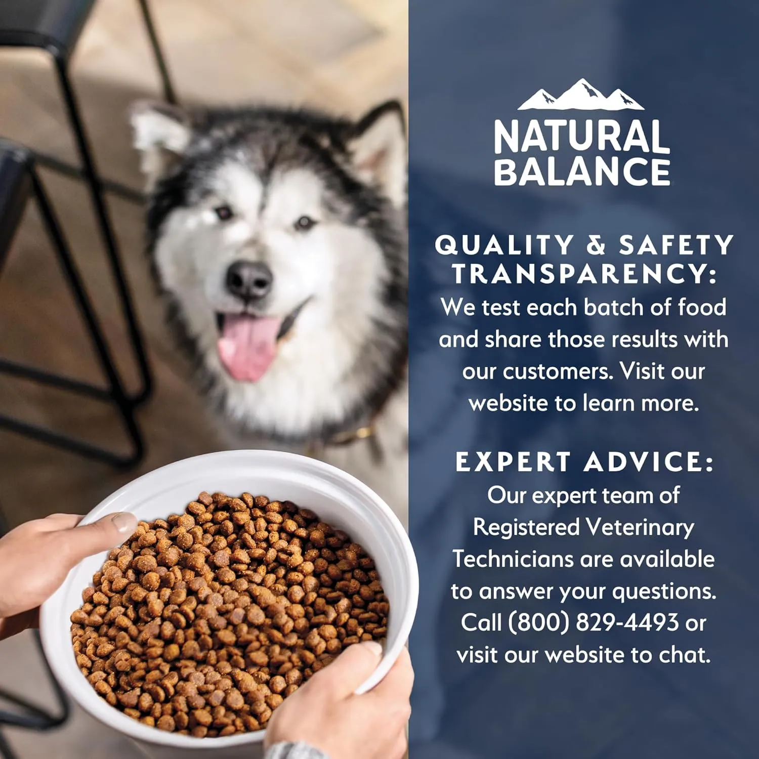 Natural Balance Health Protection Puppy Dry Dog Food  Whole Body Health, Easy on Digestion Dog Food Made with Chicken, Brown Rice & Pumpkin for Puppies - 4lbs.