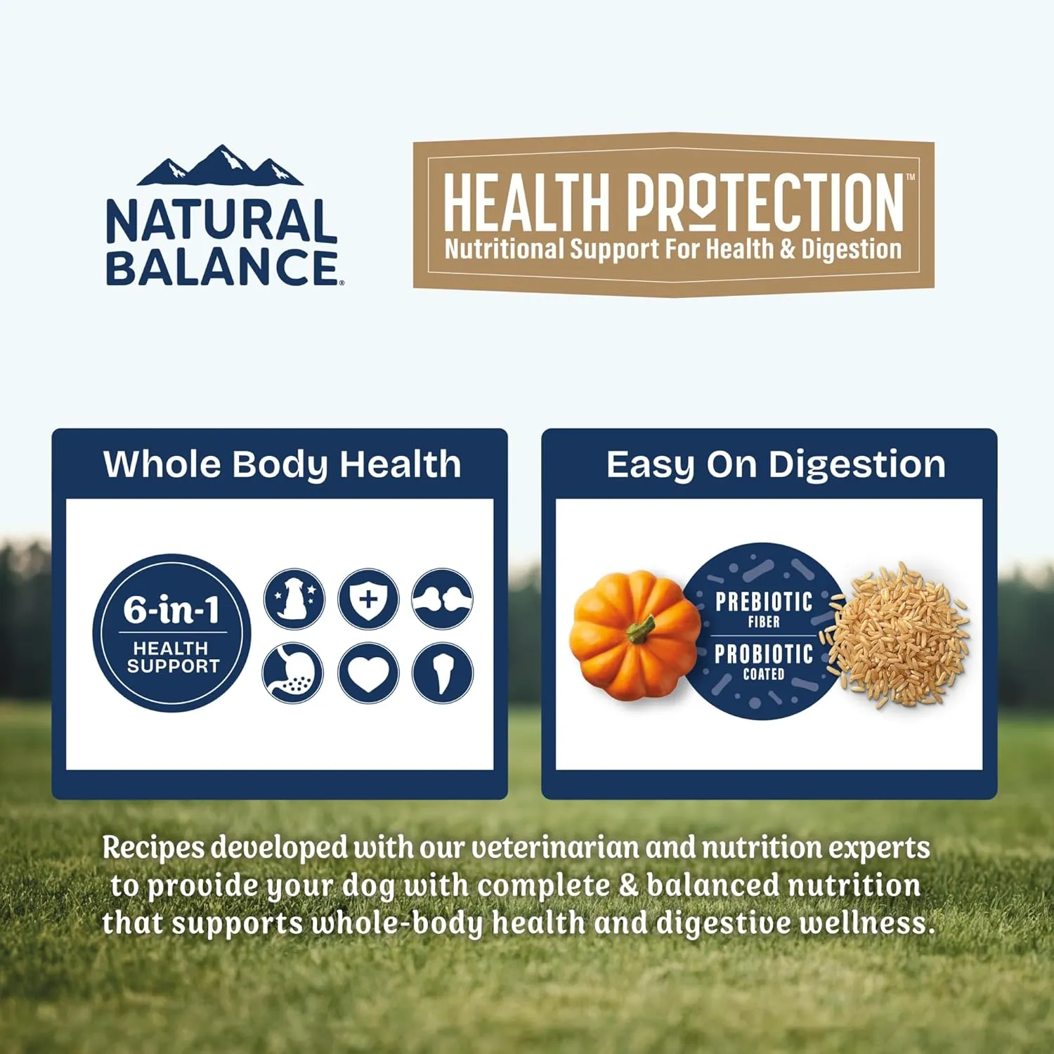 Natural Balance Health Protection Puppy Dry Dog Food  Whole Body Health, Easy on Digestion Dog Food Made with Chicken, Brown Rice & Pumpkin for Puppies - 4lbs.