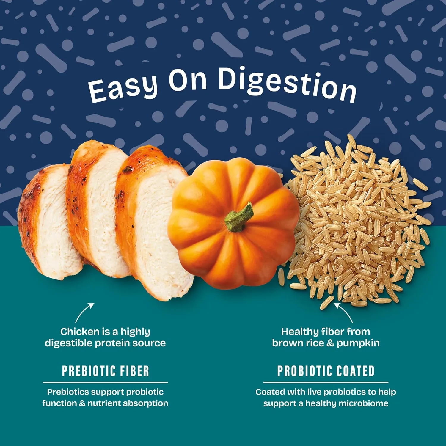 Natural Balance Health Protection Puppy Dry Dog Food  Whole Body Health, Easy on Digestion Dog Food Made with Chicken, Brown Rice & Pumpkin for Puppies - 4lbs.