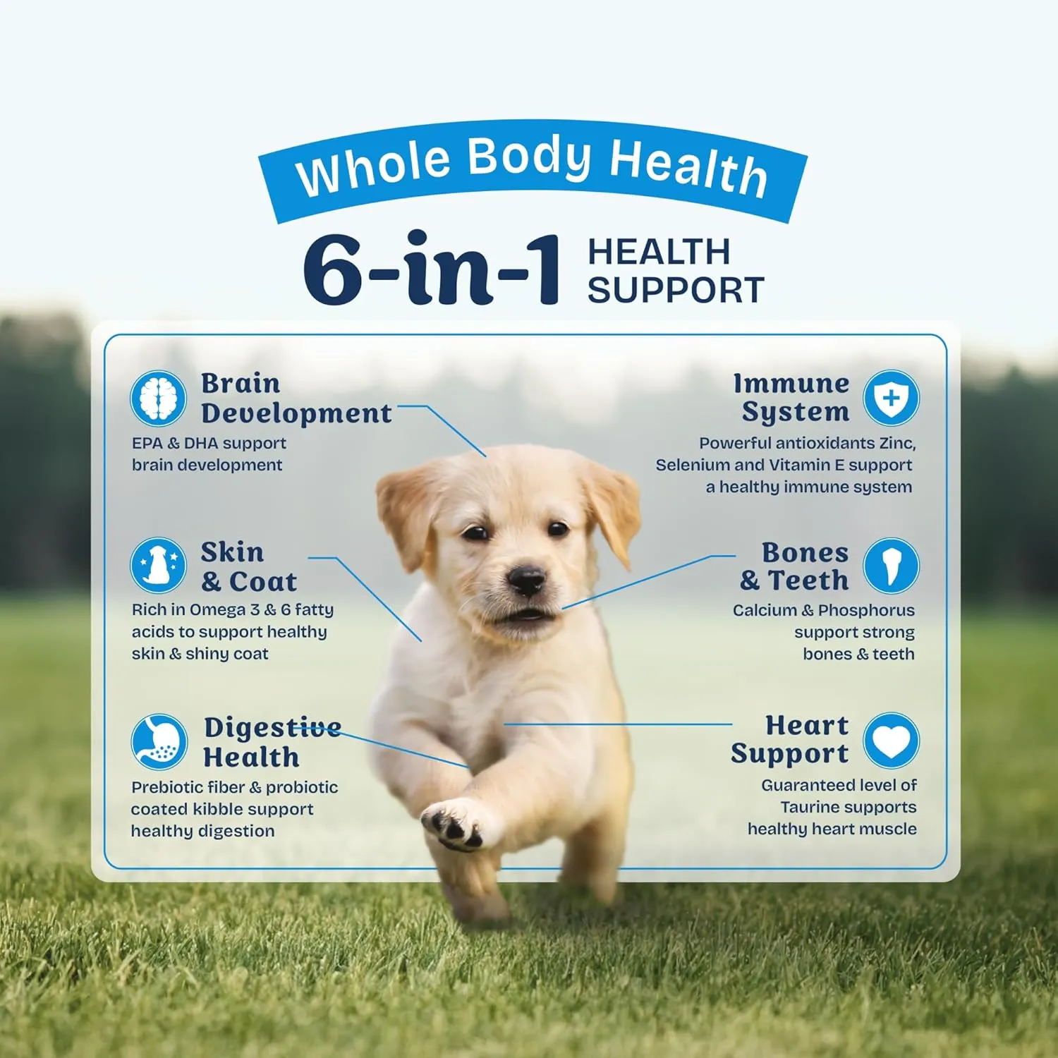 Natural Balance Health Protection Puppy Dry Dog Food  Whole Body Health, Easy on Digestion Dog Food Made with Chicken, Brown Rice & Pumpkin for Puppies - 4lbs.