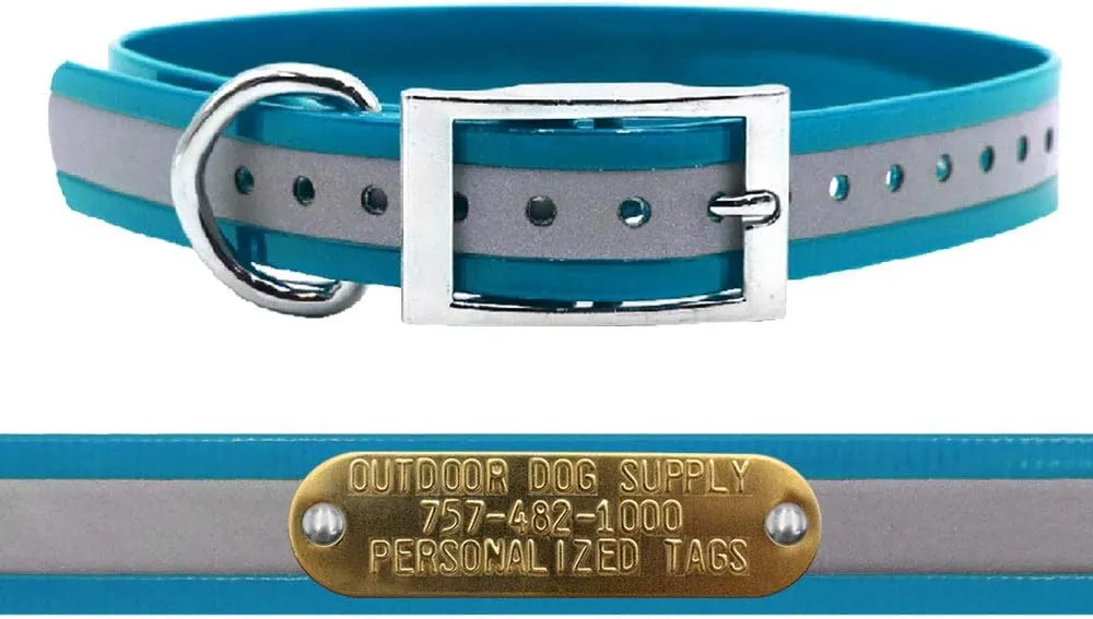 Outdoor Dog Supply's 1" Wide Reflective D Ring Dog Collar Strap with Custom 3/4" Tag (18" Long, Reflective Teal)