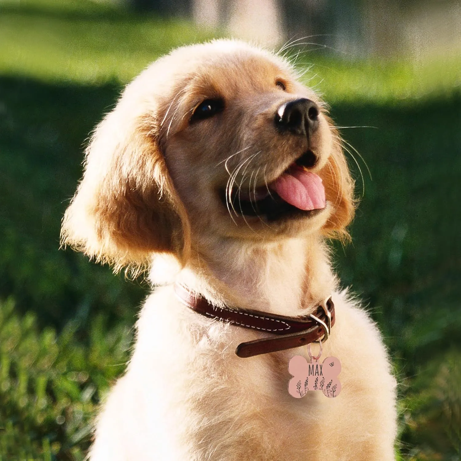 PawFurEver Dog & Cat Tags - Personalized Engraved Custom Name Tags - Stainless Steel - Rose Gold Bone Shapes