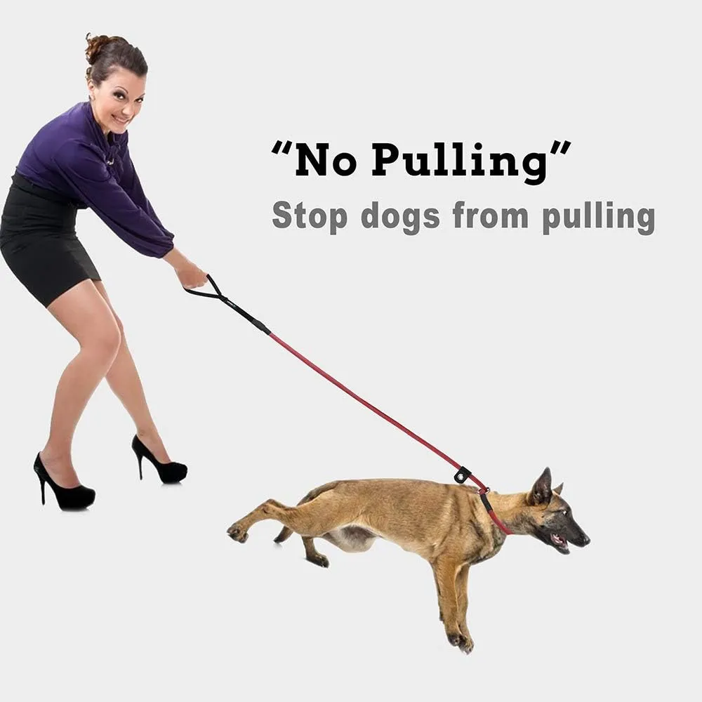 Slip-Lead Dog-Leash Medium-Training Rope - 6ft Foot Big Large Reflective Climbing Rope Leash Supports The Strongest Pulling Large Medium Dogs 6 Feet
