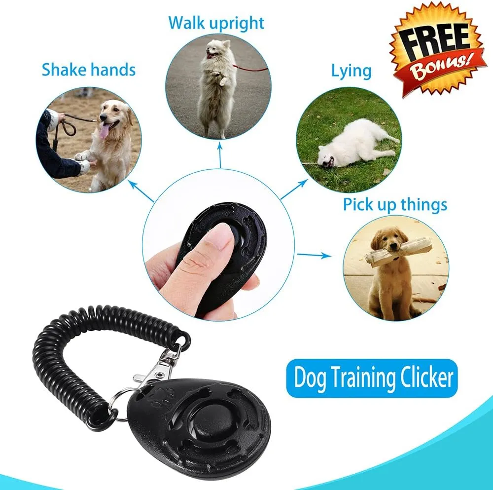 Slip-Lead Dog-Leash Medium-Training Rope - 6ft Foot Big Large Reflective Climbing Rope Leash Supports The Strongest Pulling Large Medium Dogs 6 Feet