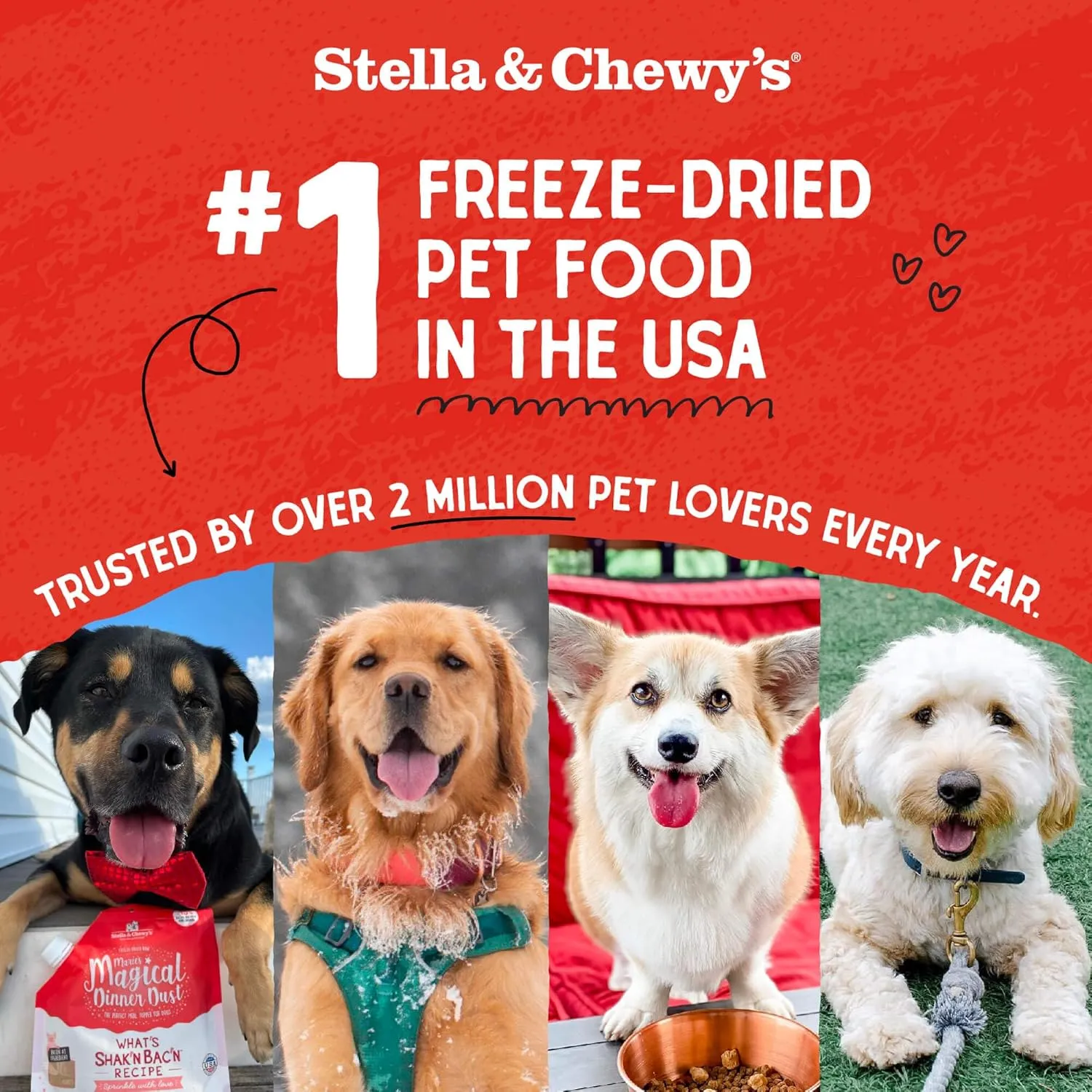 Stella & Chewy's Freeze-Dried Raw Dinner Patties - Chicken Recipe - High Protein Grain-Free Puppy & Dog Food - Perfect For Picky Eaters - 14 oz