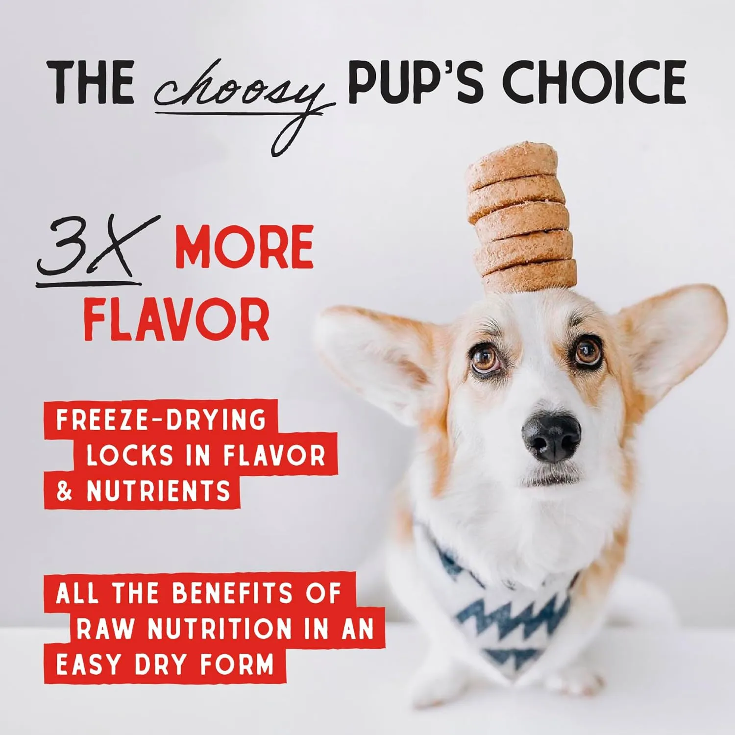 Stella & Chewy's Freeze-Dried Raw Dinner Patties - Chicken Recipe - High Protein Grain-Free Puppy & Dog Food - Perfect For Picky Eaters - 14 oz