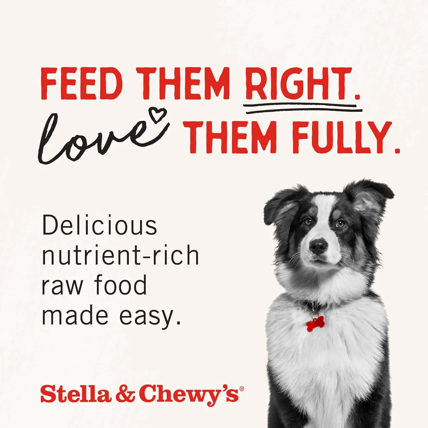 Stella & Chewy's Freeze-Dried Raw Dinner Patties - Chicken Recipe - High Protein Grain-Free Puppy & Dog Food - Perfect For Picky Eaters - 14 oz