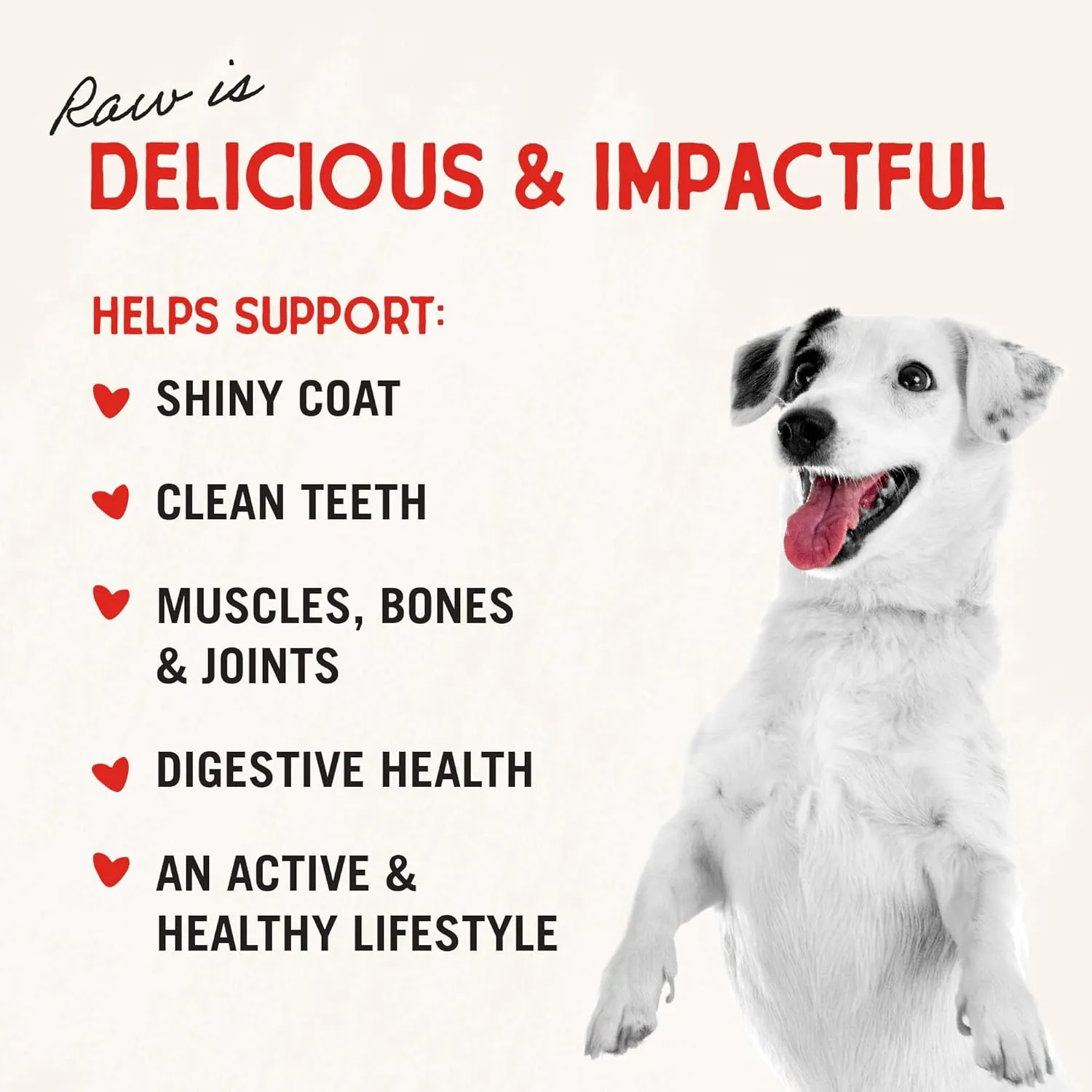 Stella & Chewy's Freeze-Dried Raw Dinner Patties - Chicken Recipe - High Protein Grain-Free Puppy & Dog Food - Perfect For Picky Eaters - 14 oz