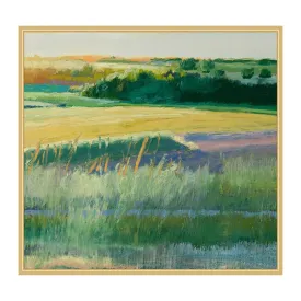 Summer Fields 3