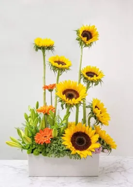 Summer Sunflower